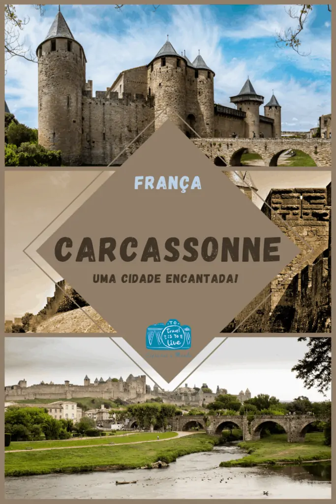 carcassonne PIN