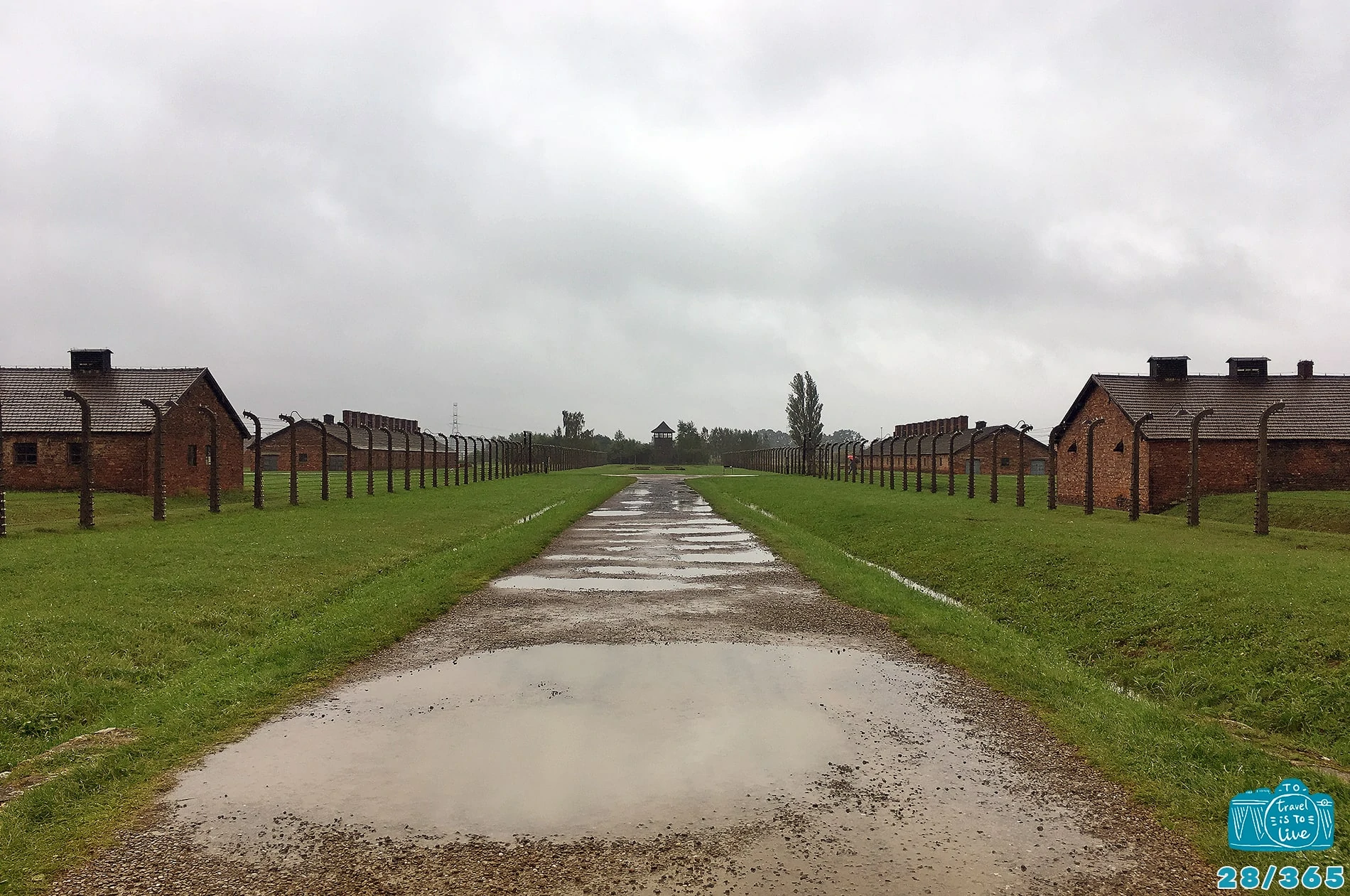 Auschwitz-Birkenau, Polónia