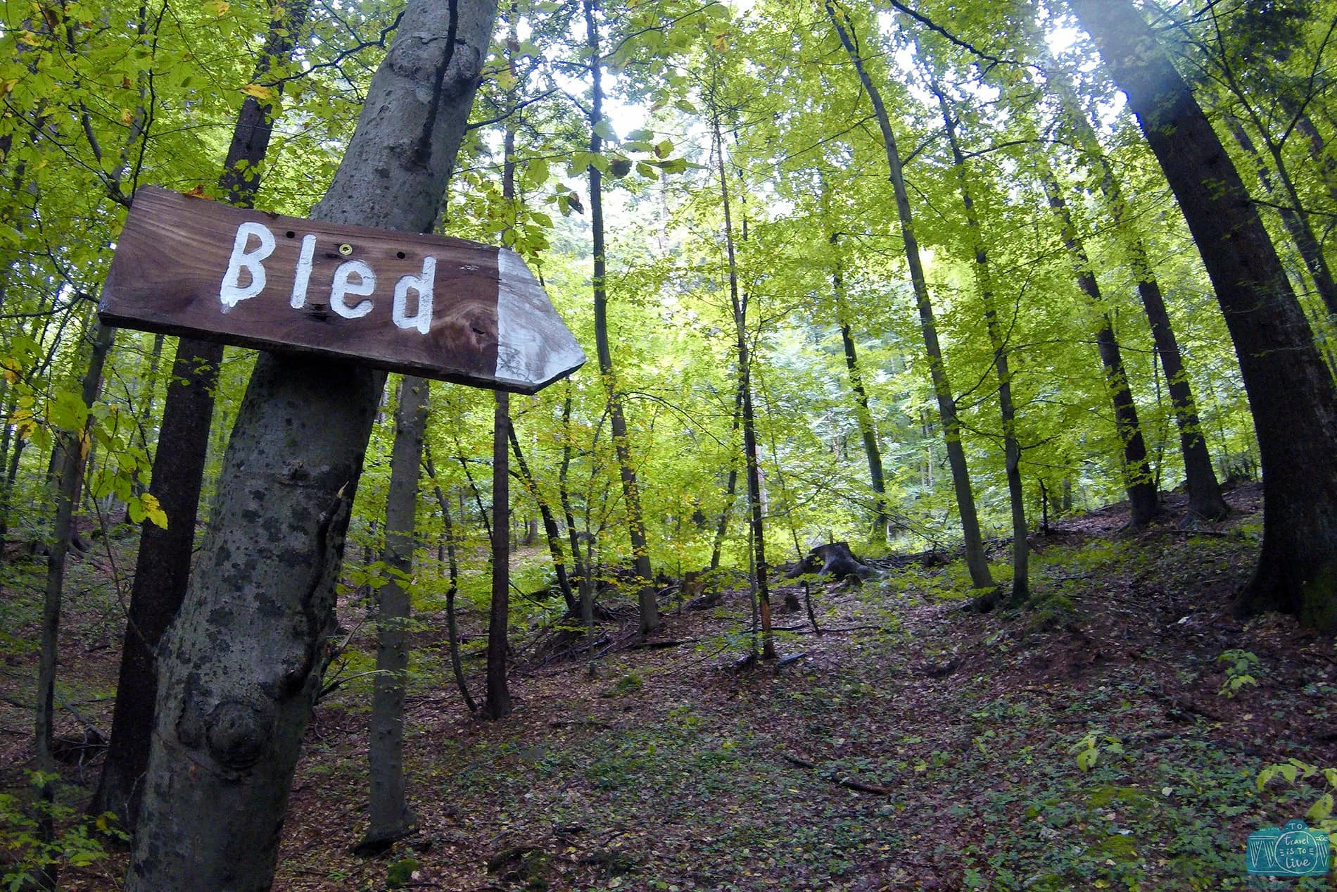Percurso pedestre até Bled