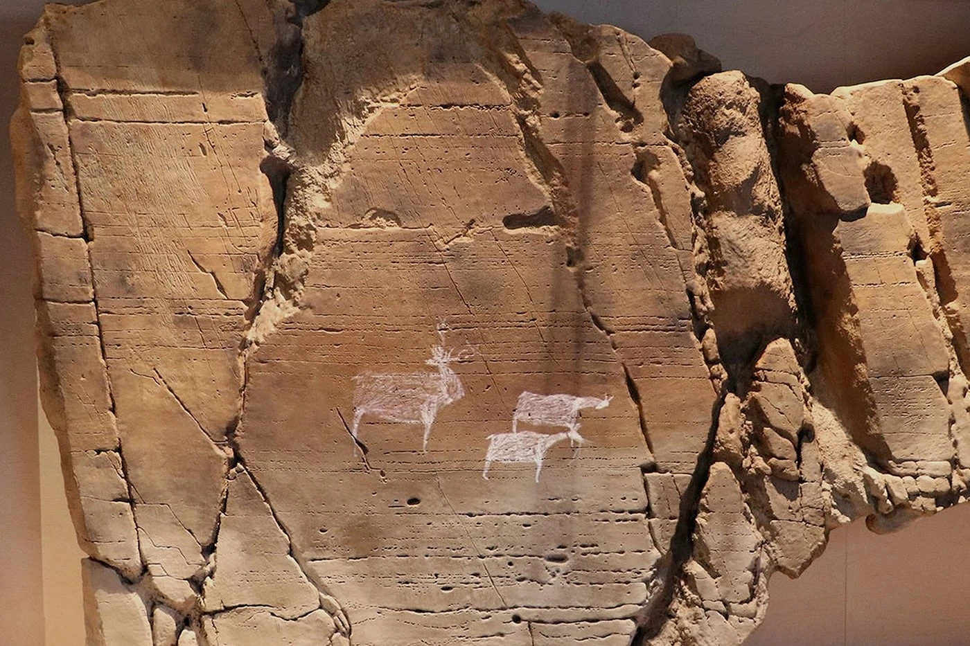 Arte rupestre de Foz Côa