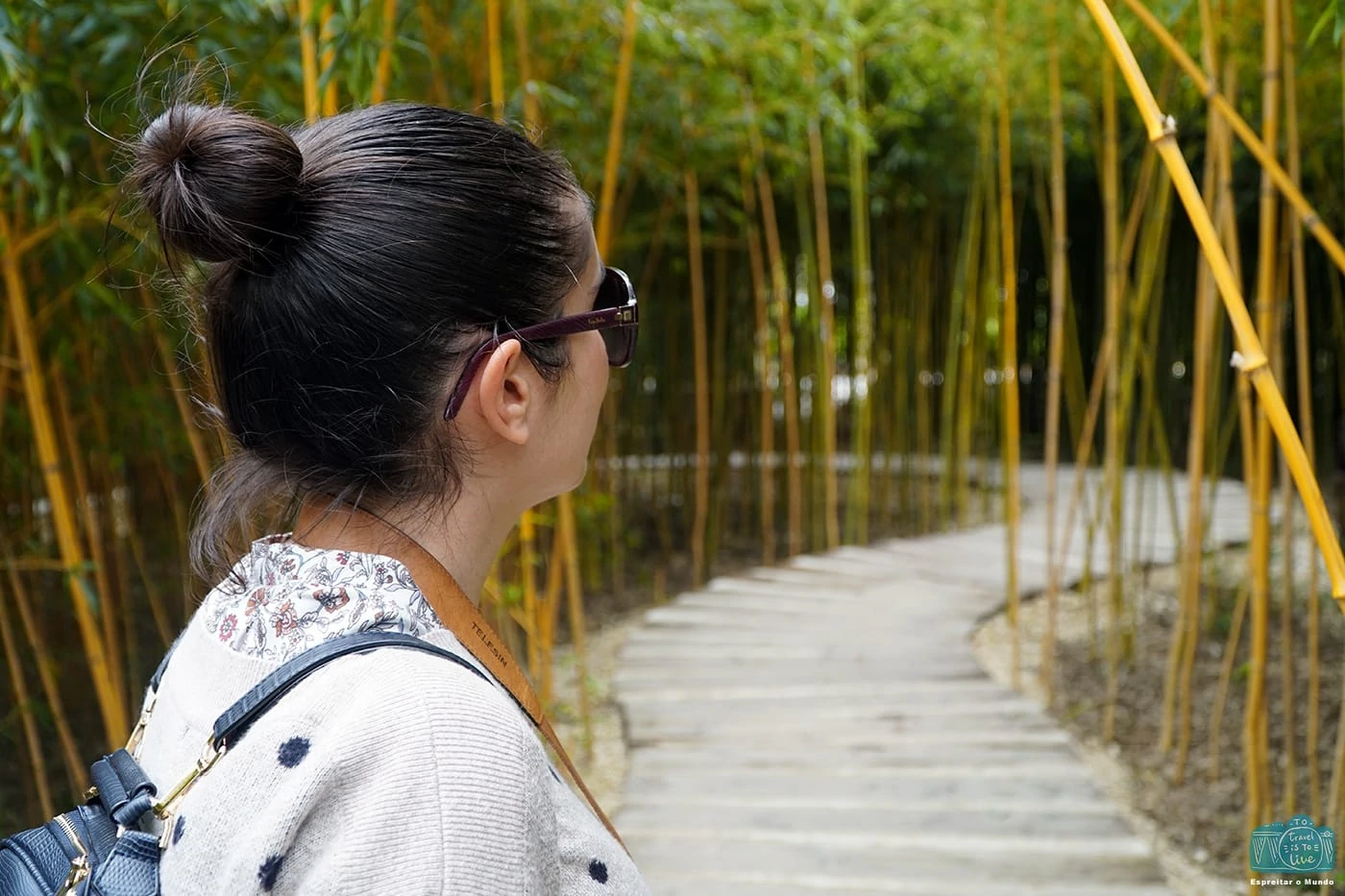 Labirinto de Bambu
