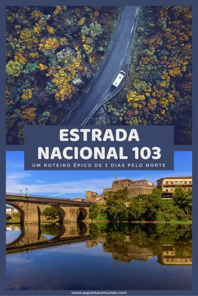 Estrada Nacional 103 (EN103)